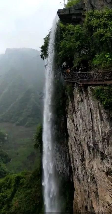 天天爱消除